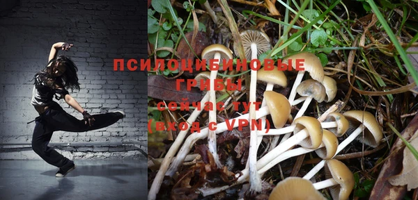 твердый Бугульма