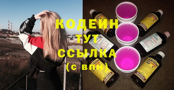 твердый Бородино