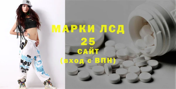 твердый Бородино