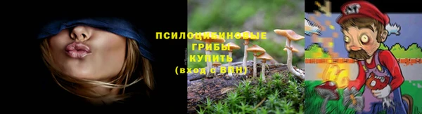 твердый Бородино
