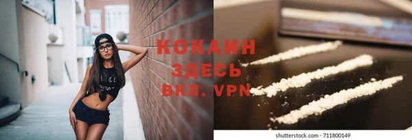 твердый Бородино