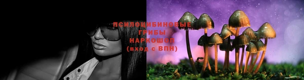 твердый Бородино