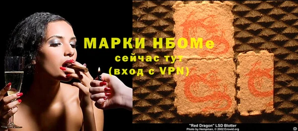 твердый Бородино