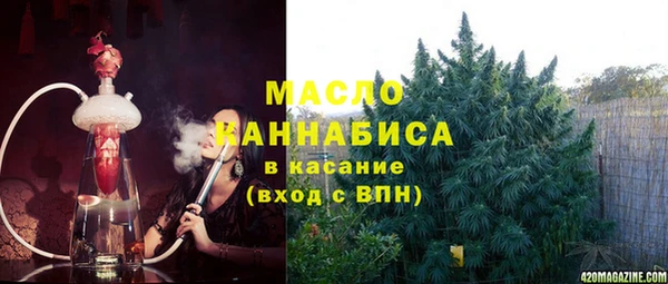 твердый Бородино