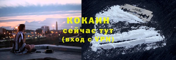 твердый Бородино