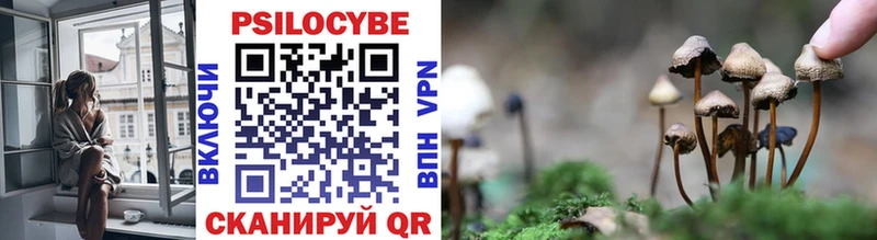купить   Клин  shop формула  Галлюциногенные грибы Cubensis 